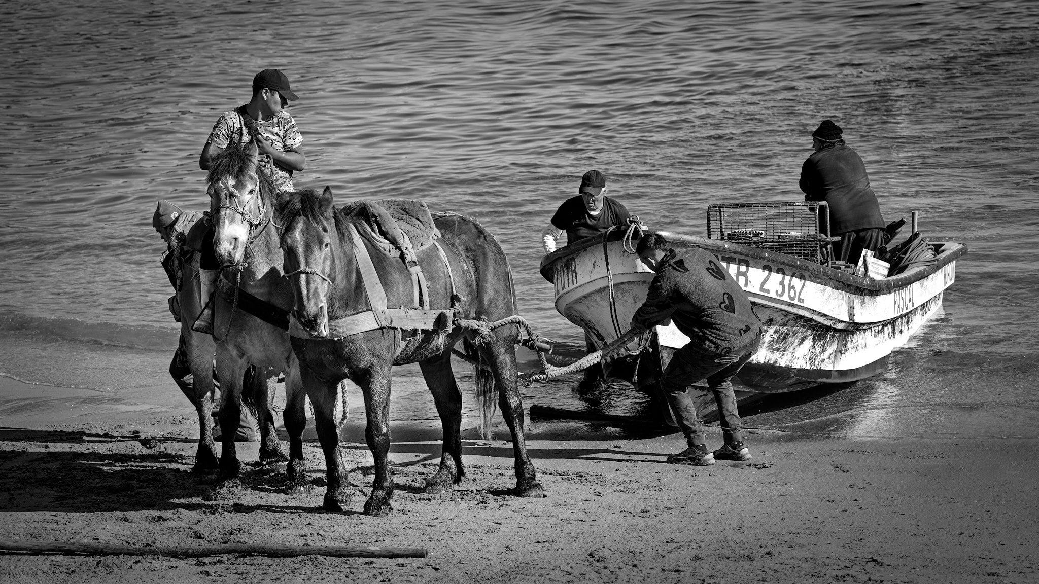 JB8_0750_NIKKOR Z 100-400mm f-4.5-5.6 VR S