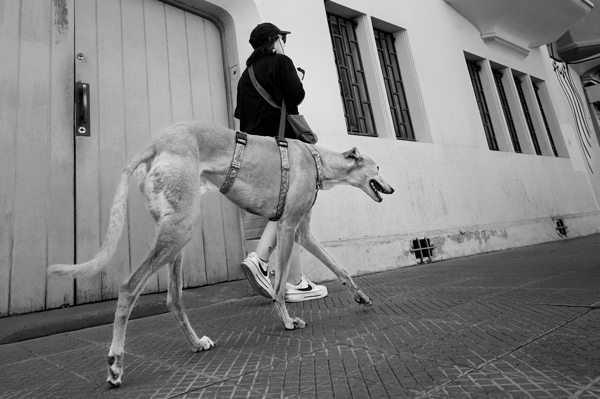 JB8_7553_NIKKOR Z 14-30mm f-4 S 1